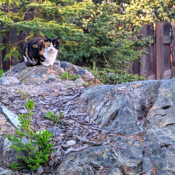 Meet your Posher, N ๐จ๐ฆ - Picture 1 of 1